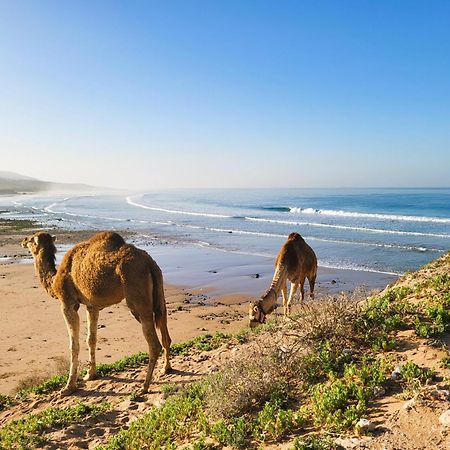 Casa Janoub Morocco Hotel Tamraght Ngoại thất bức ảnh