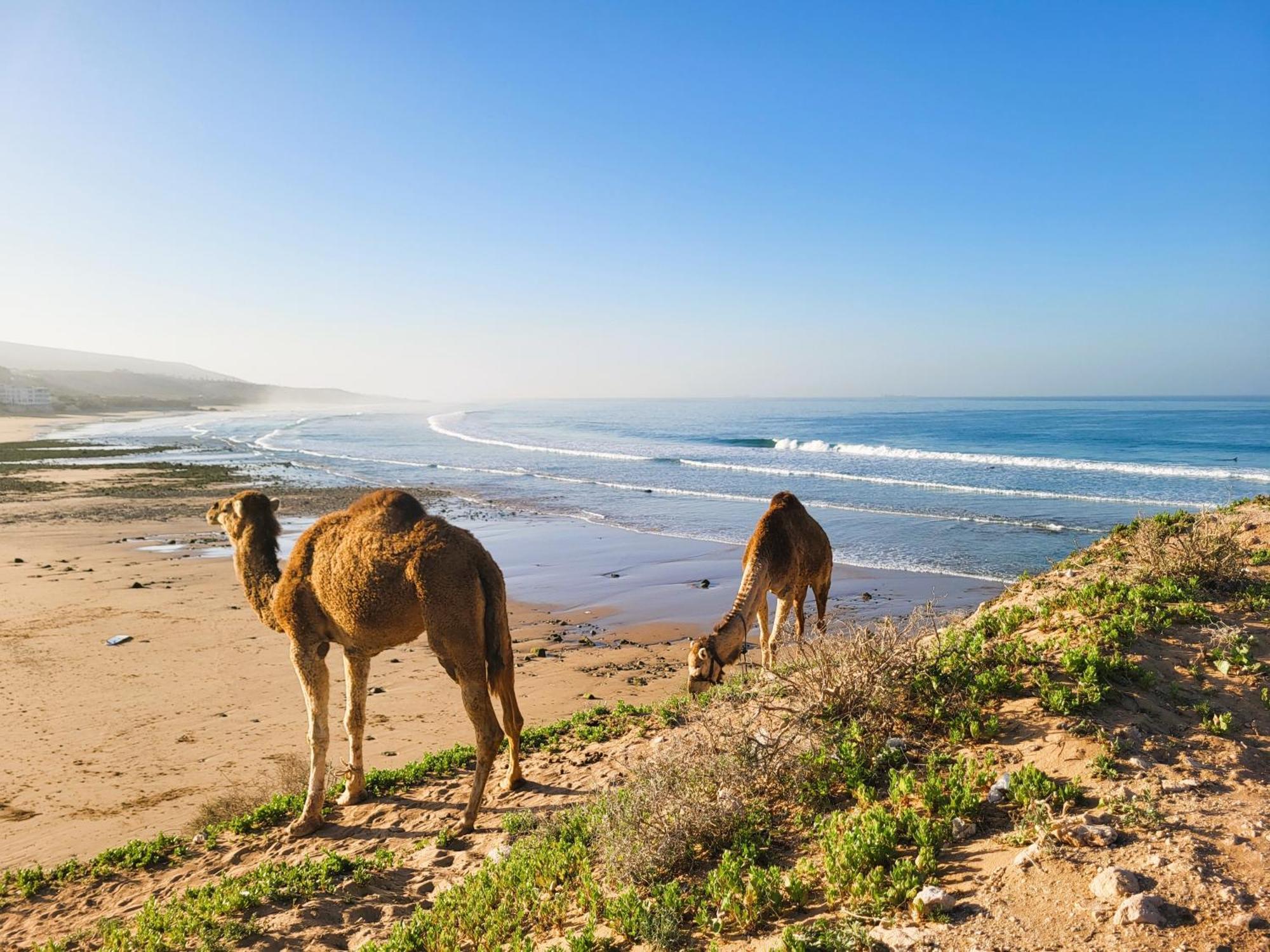 Casa Janoub Morocco Hotel Tamraght Ngoại thất bức ảnh